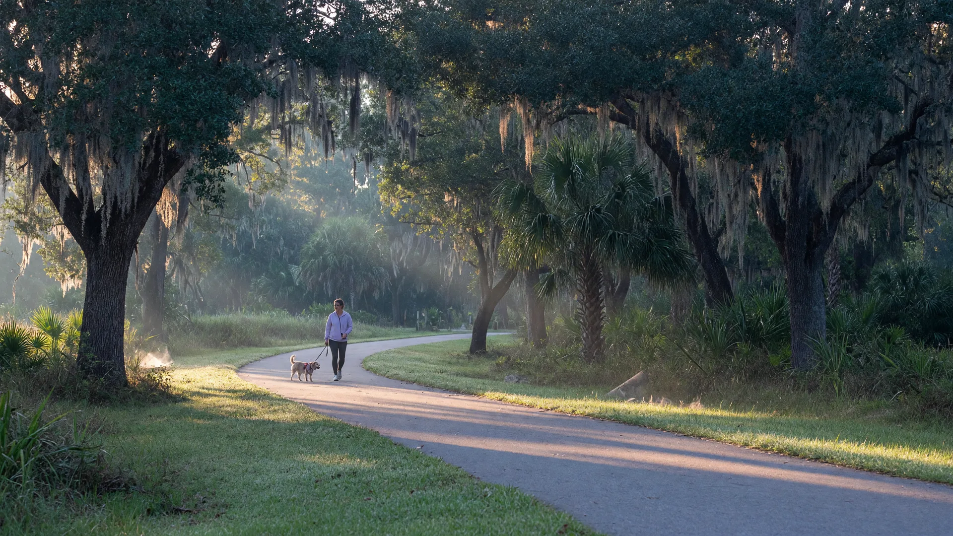 Cooler Mornings Mean Longer Walks: My Favorite Dog-Friendly Trails in Palmer Ranch & South Sarasota