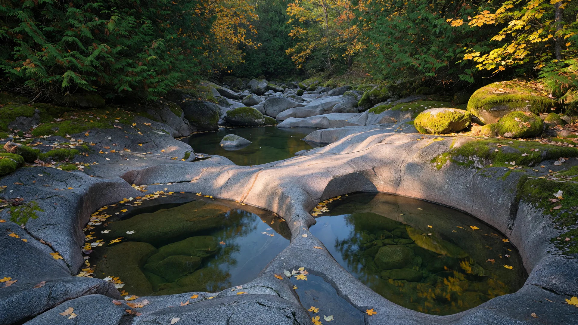 Can I Take My Dog to the Sooke Potholes? Leash Rules, Parking and the Best Time to Go