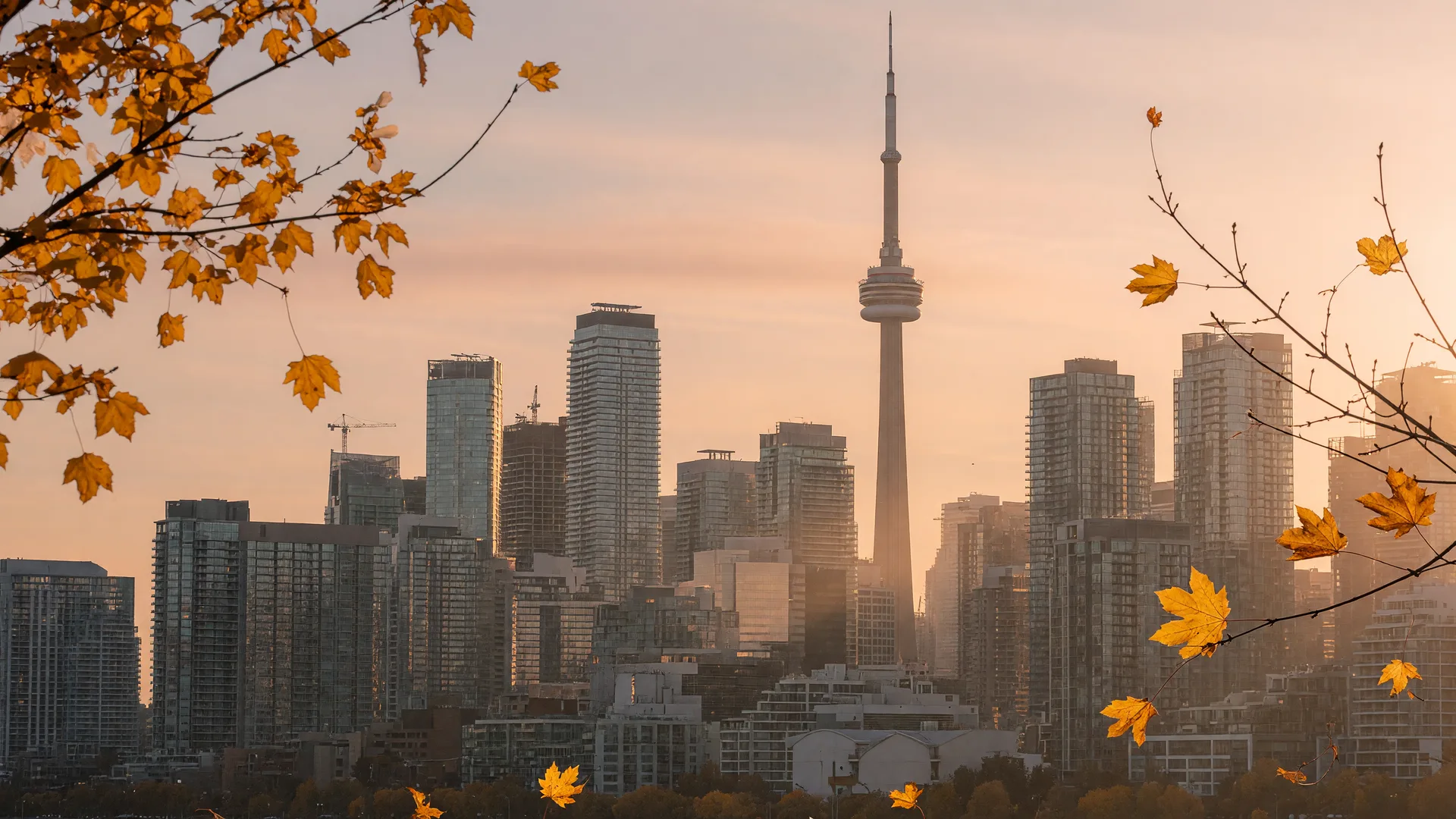 Downtown Toronto condo towers in early autumn at golden hour. The Bank of Canada held its policy rate at 2.25% on September 2, 2026