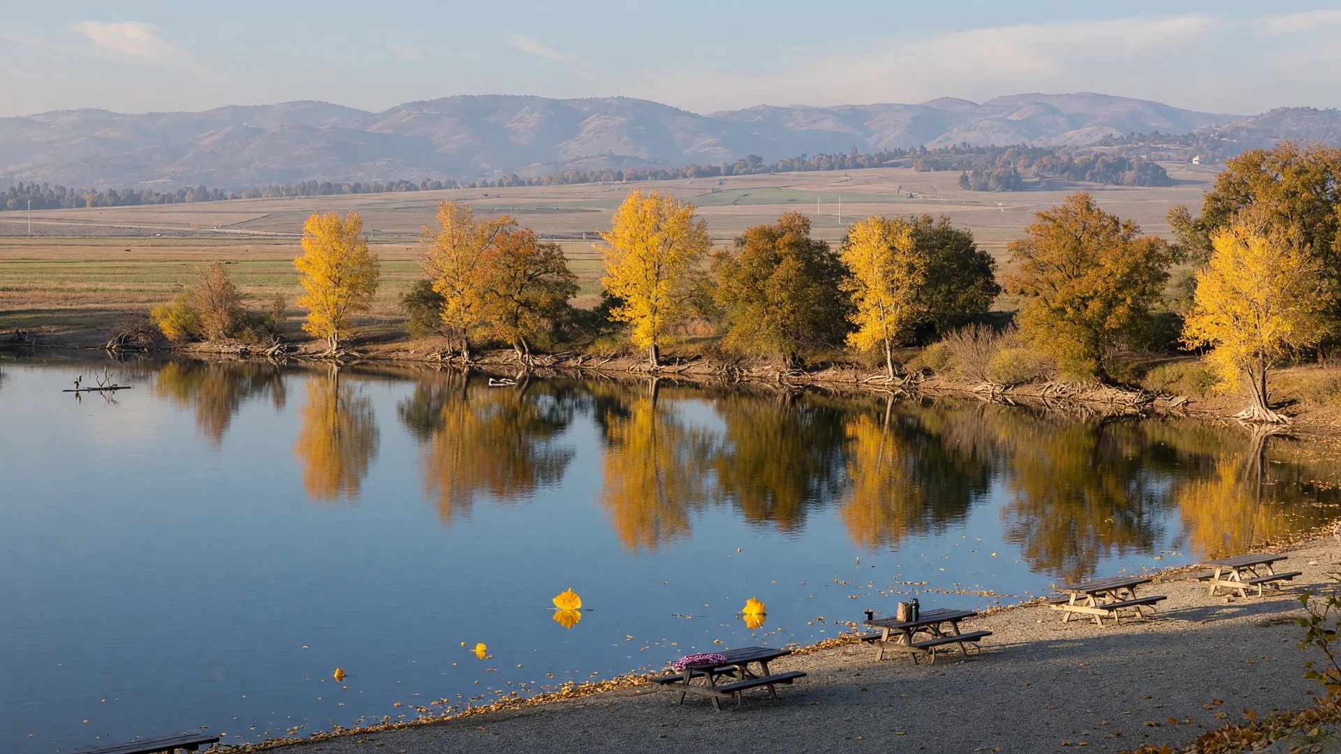 Lake Yosemite Regional Park in Merced, California on a crisp October morning, calm blue lake water reflecting golden cottonwood and oak trees turning amber along the shore, a gravel picnic area near the water, and the hazy Sierra Nevada foothills on the horizon