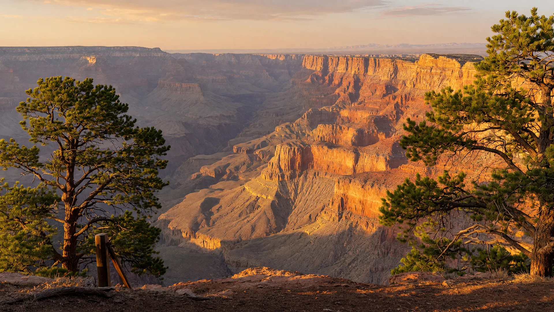 Grand Canyon walls in warm amber light at golden hour