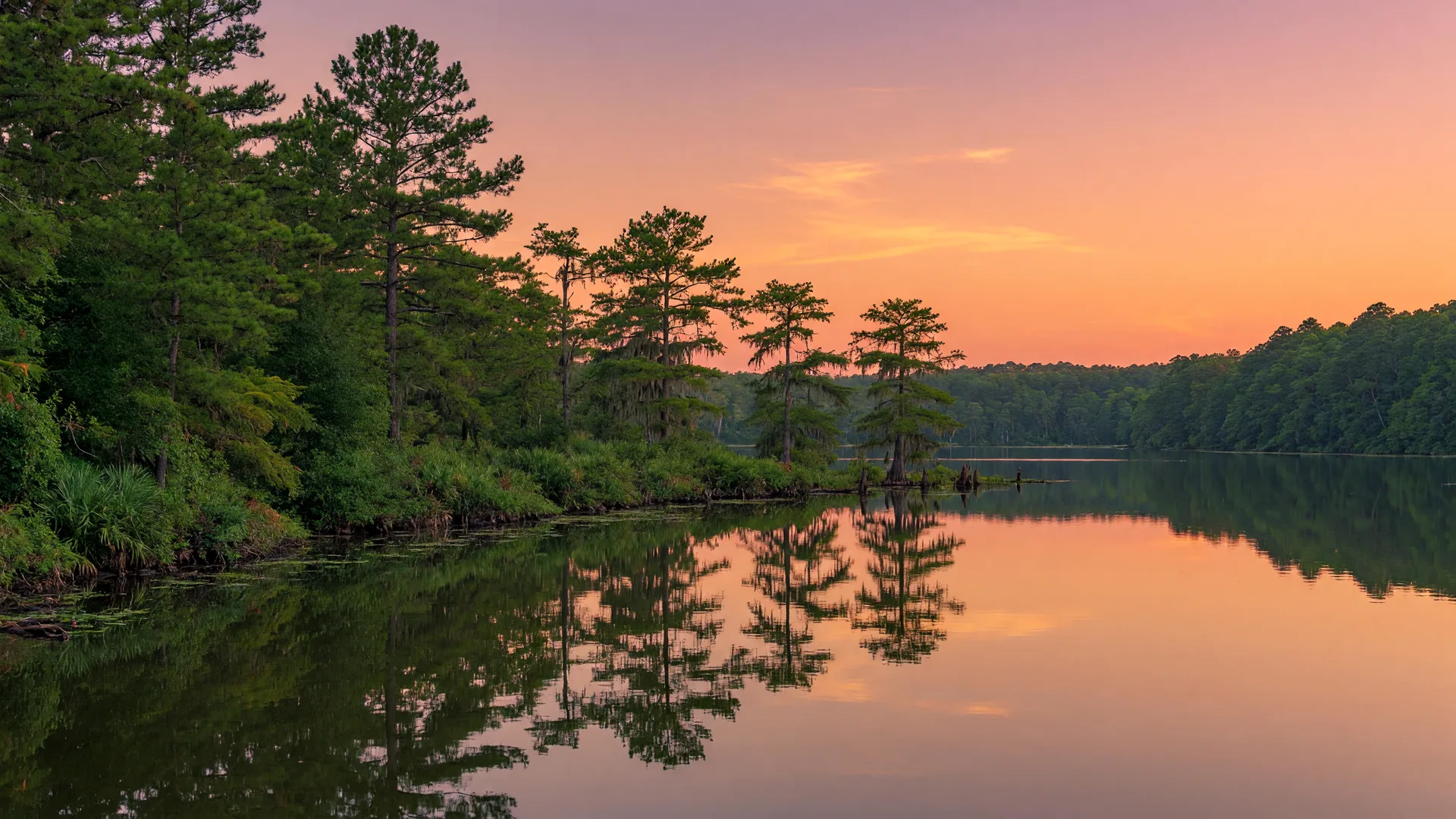 Calm lake at sunset in the Kingwood area