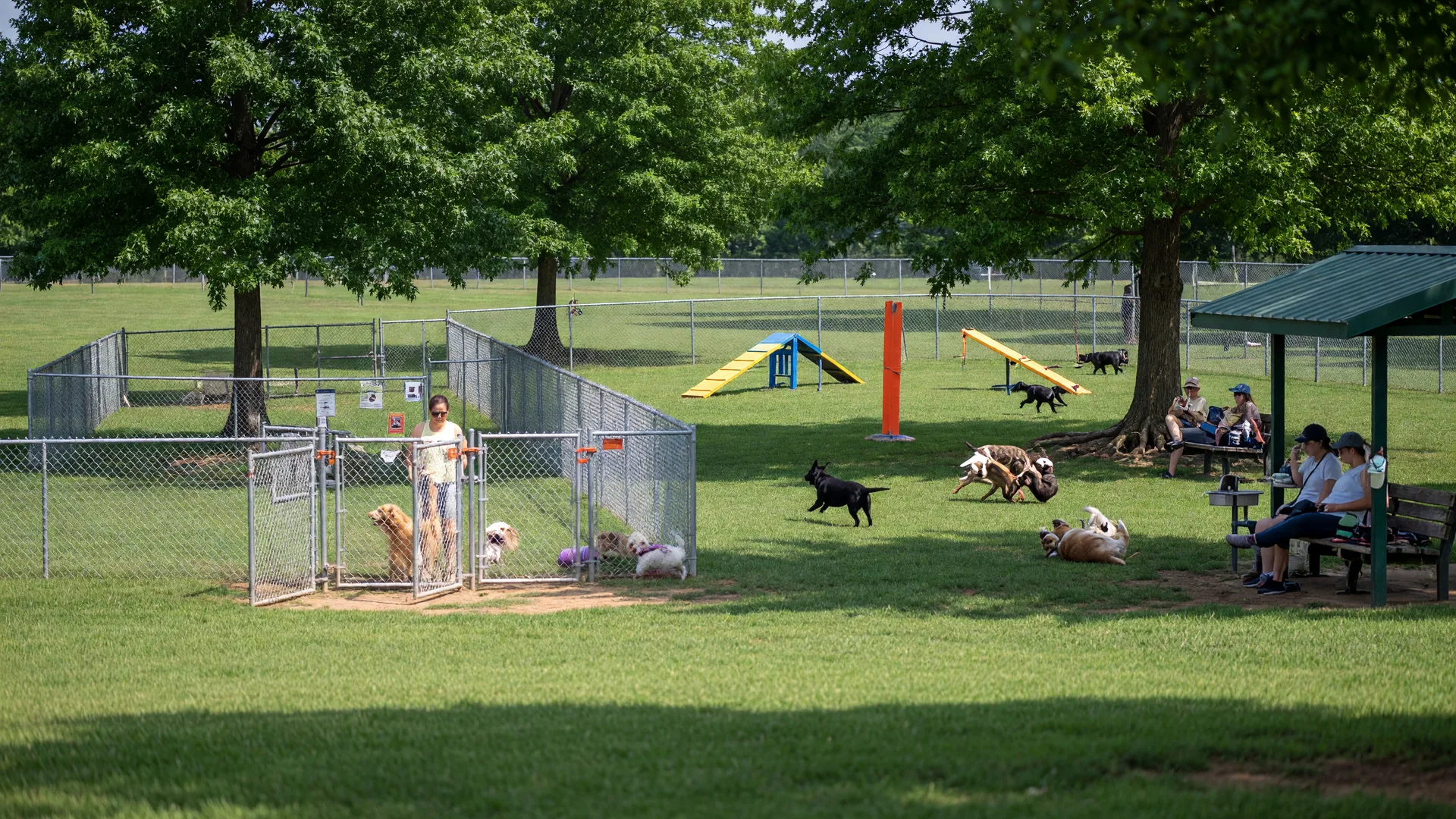 Best Off-Leash Dog Parks in Fairfax County
