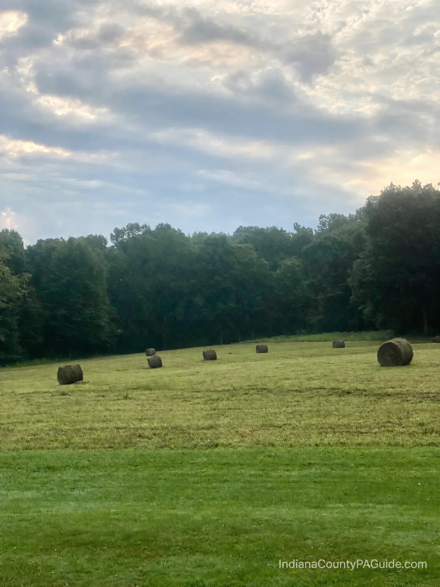 A scenic rural field with hay bales in Indiana County, PA