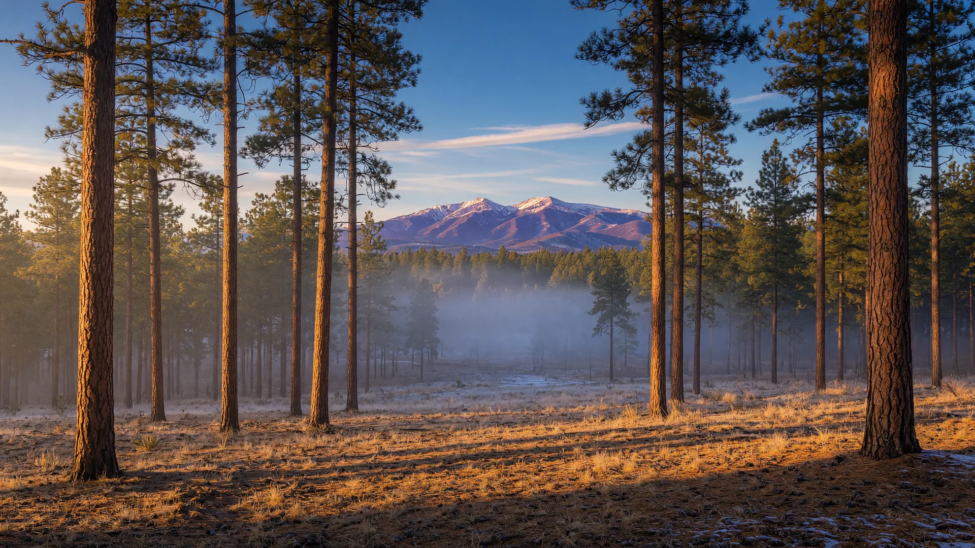 The ridgeview setting at Pine Valley at golden hour