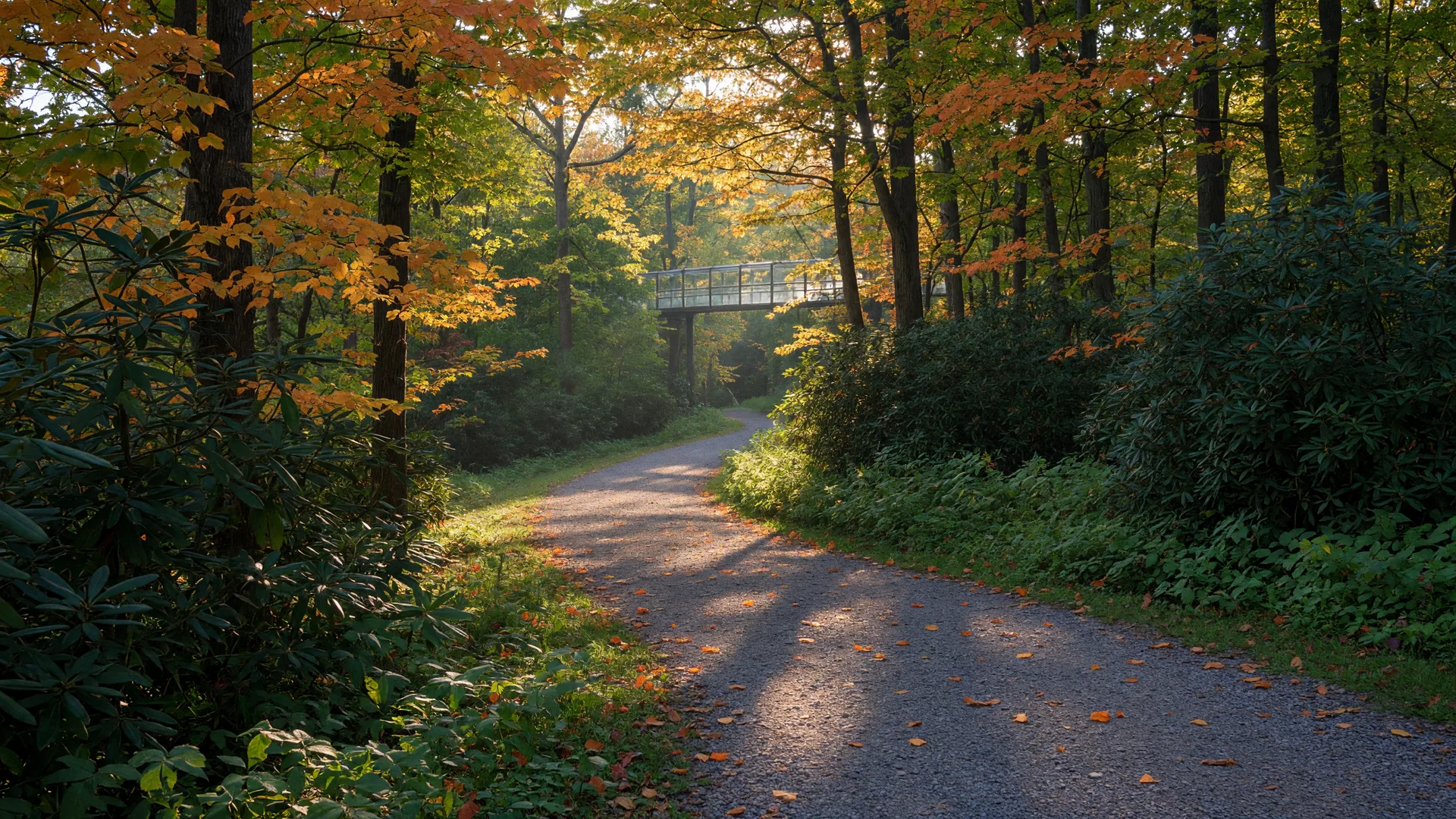 Holden Arboretum and Kirtland's Parks: Nature Minutes from Home