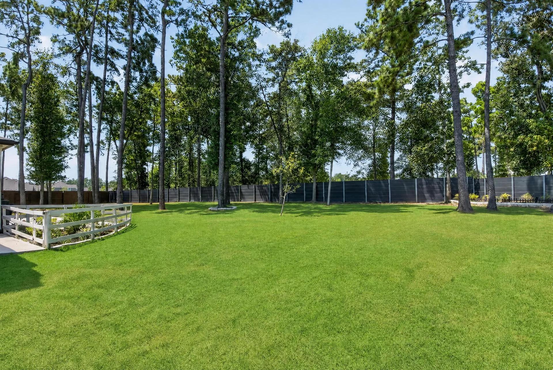 Flat, open backyard lawn ringed by tall mature pine trees on the edge of the cul-de-sac lot