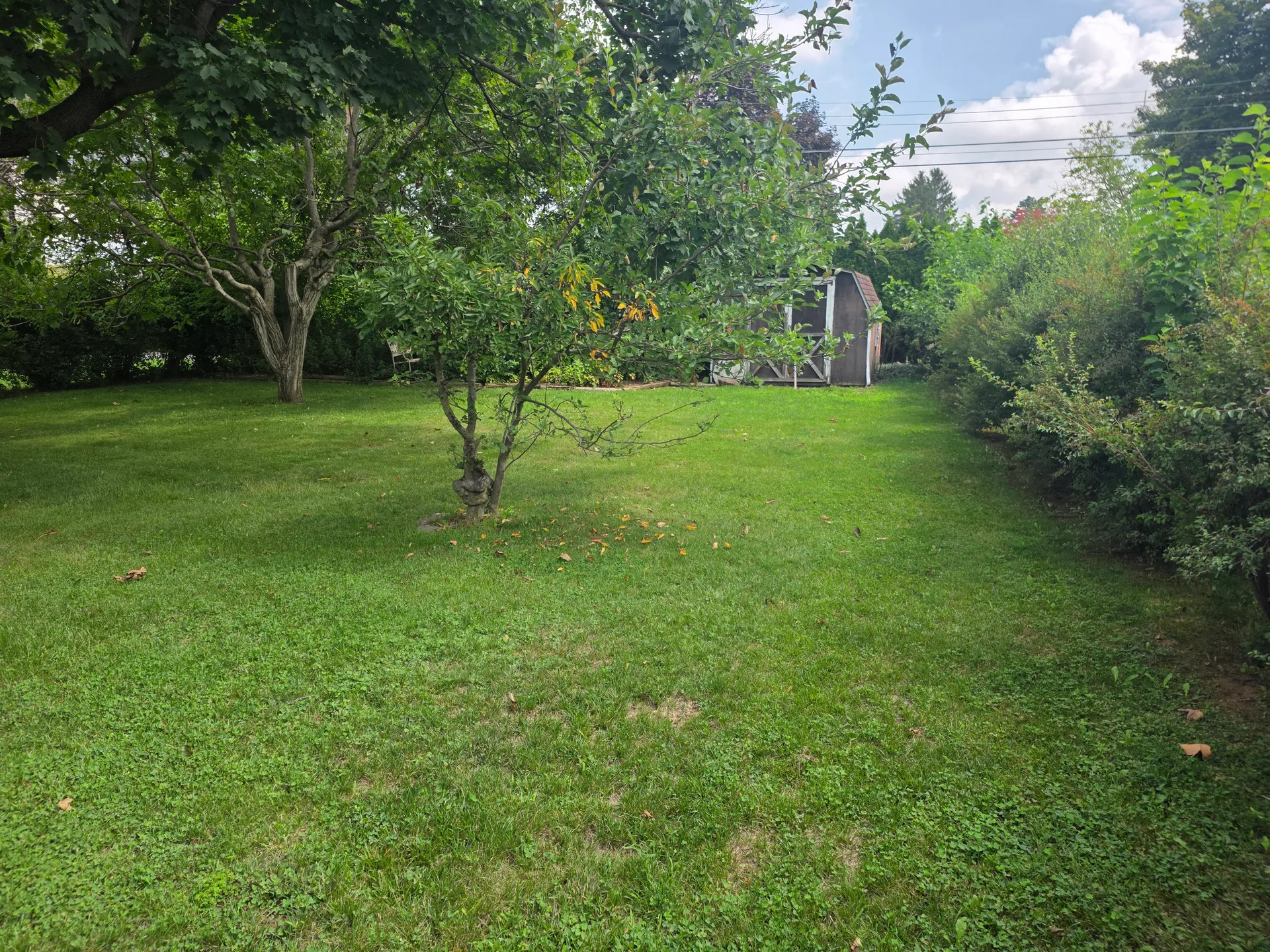 Mature backyard with established trees and storage shed