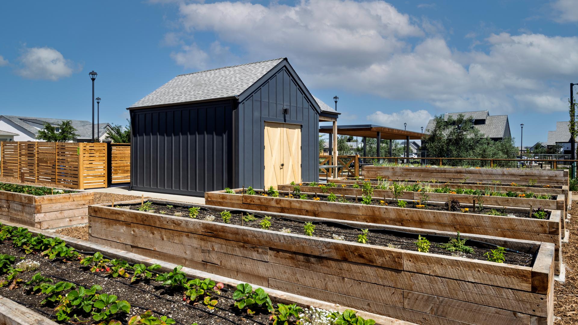 The community garden at Regency at Tracy Lakes in Tracy, California