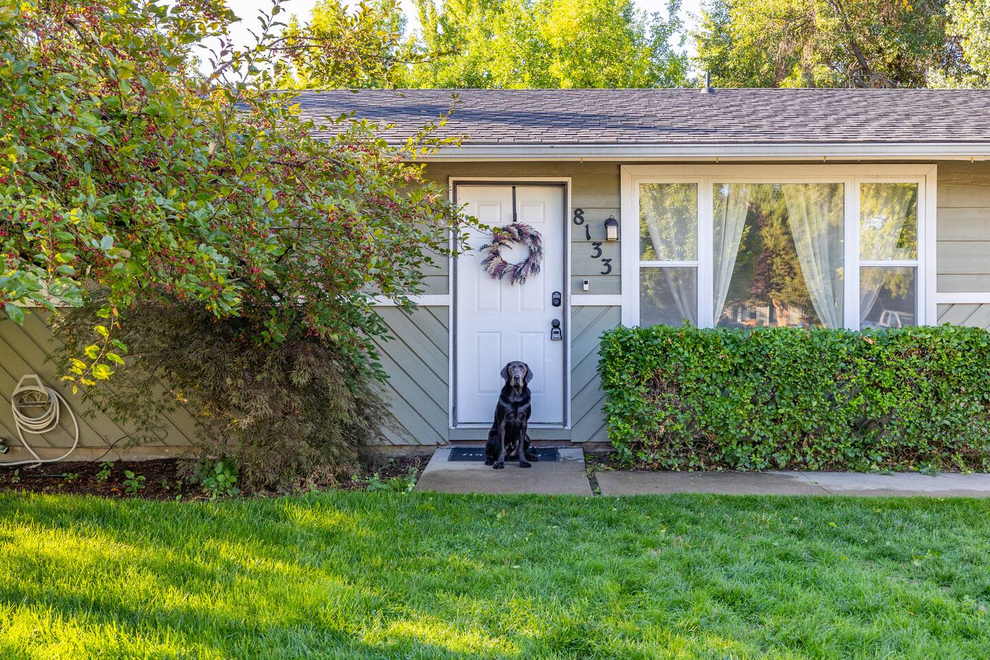 Cozy Boise Haven vacation rental