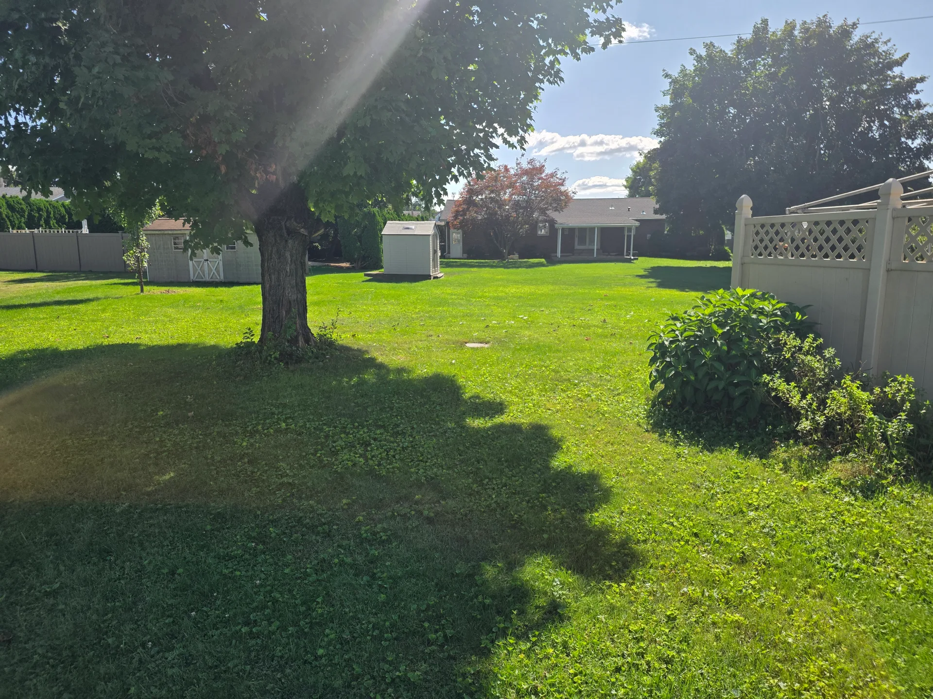 Backyard with mature trees near Egyptian Hills