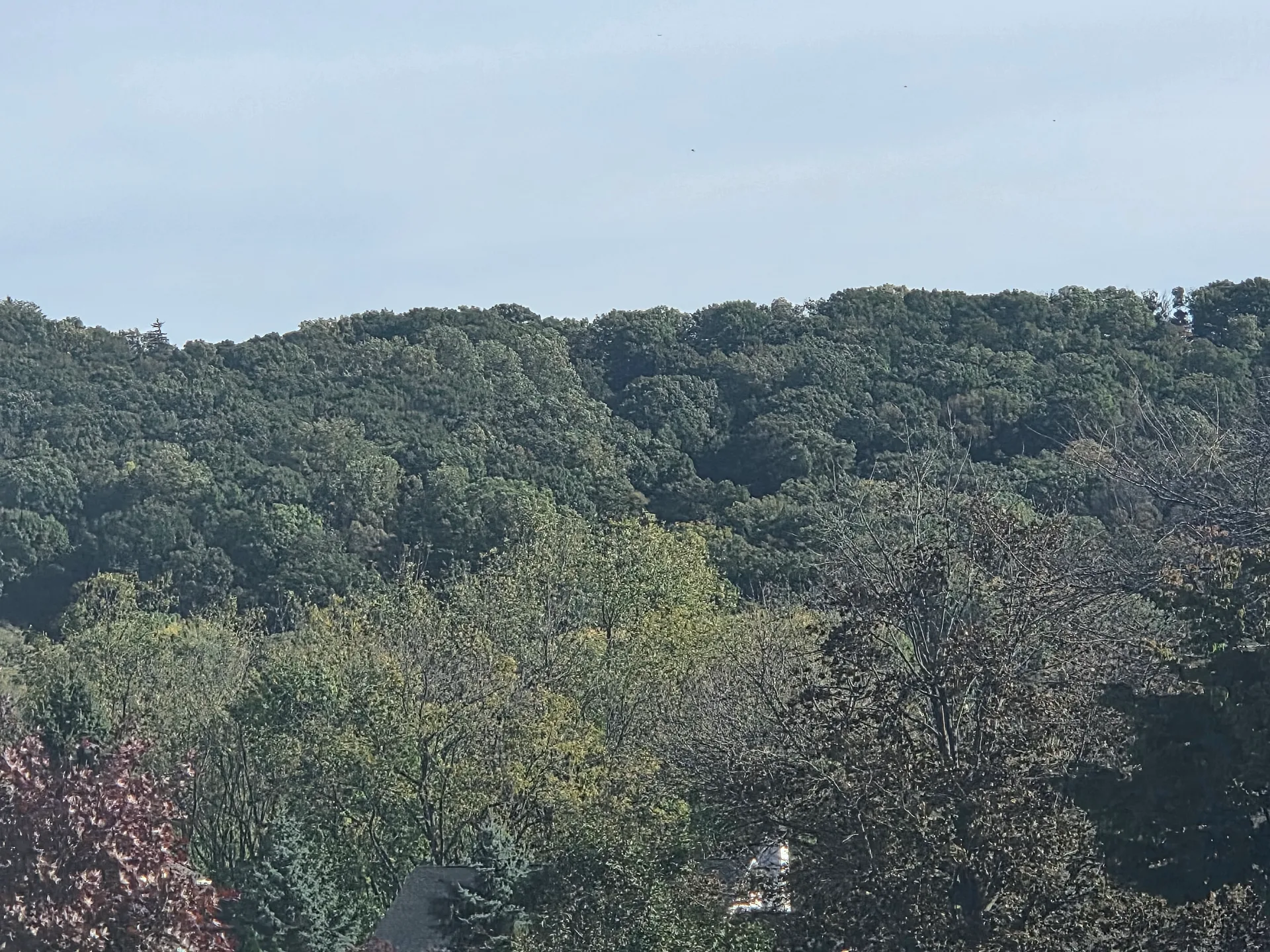 Scenic mountain view from the backyard of 1906 Grouse Court, Forks Township PA