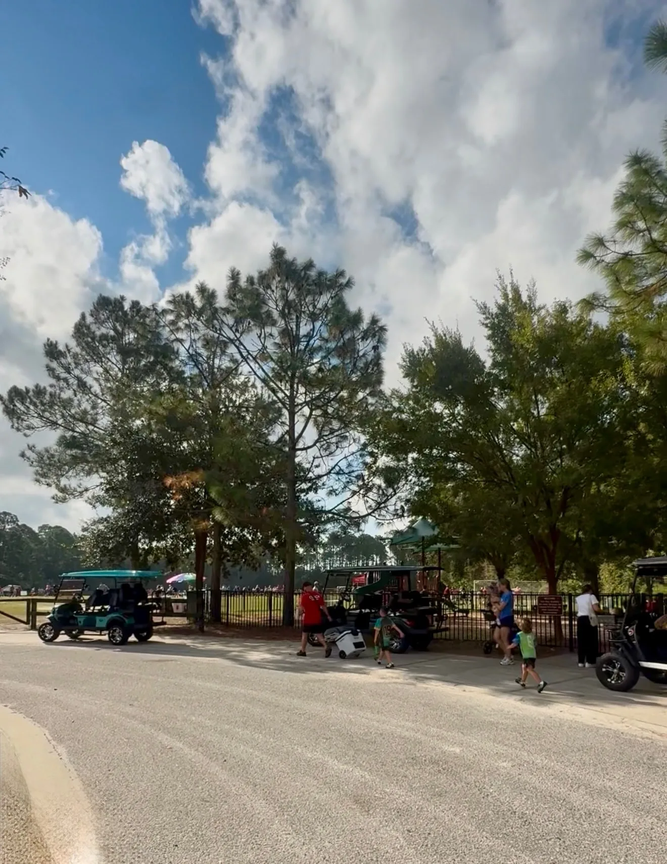 Mollie's real photo from around Nocatee, St. Johns County, Florida (IMG_4378)