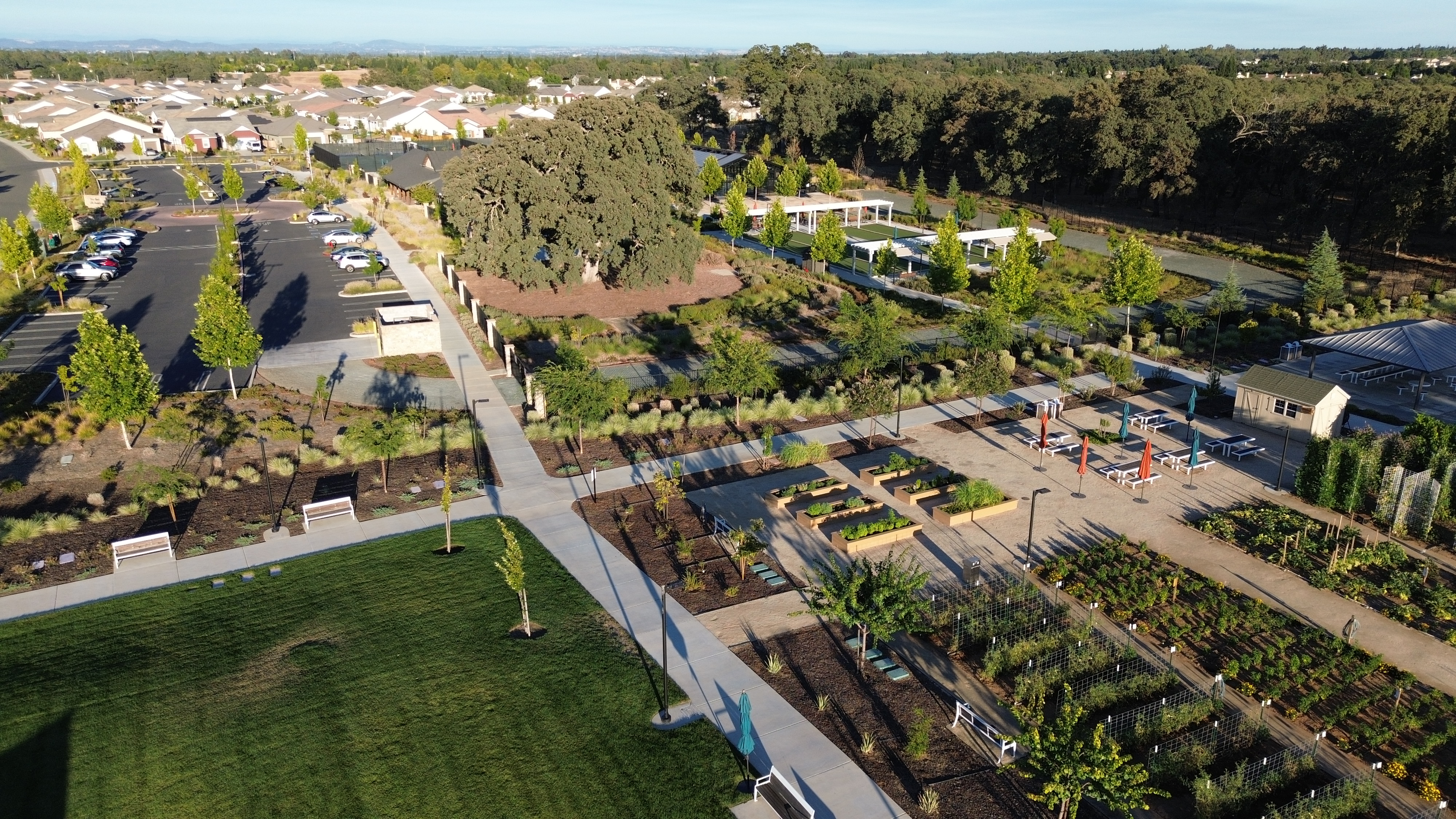 Heritage Placer Vineyards 55+ community in Roseville