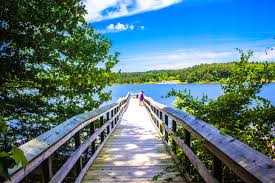Boardwalk along Falls Lake in Wake Forest NC