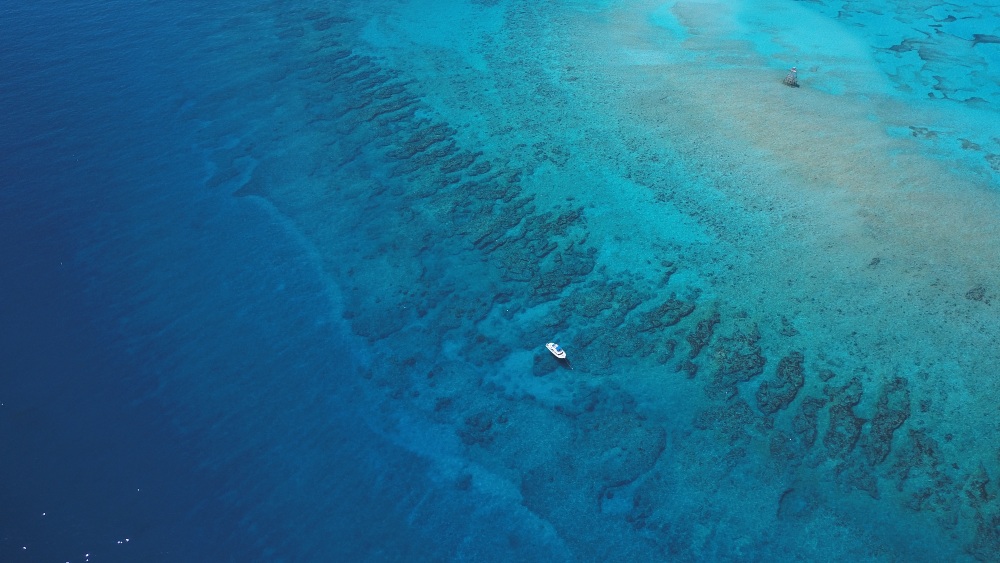 Coral formations at Molasses Reef showing recovery after hurricane damage, with clear blue water and marine life