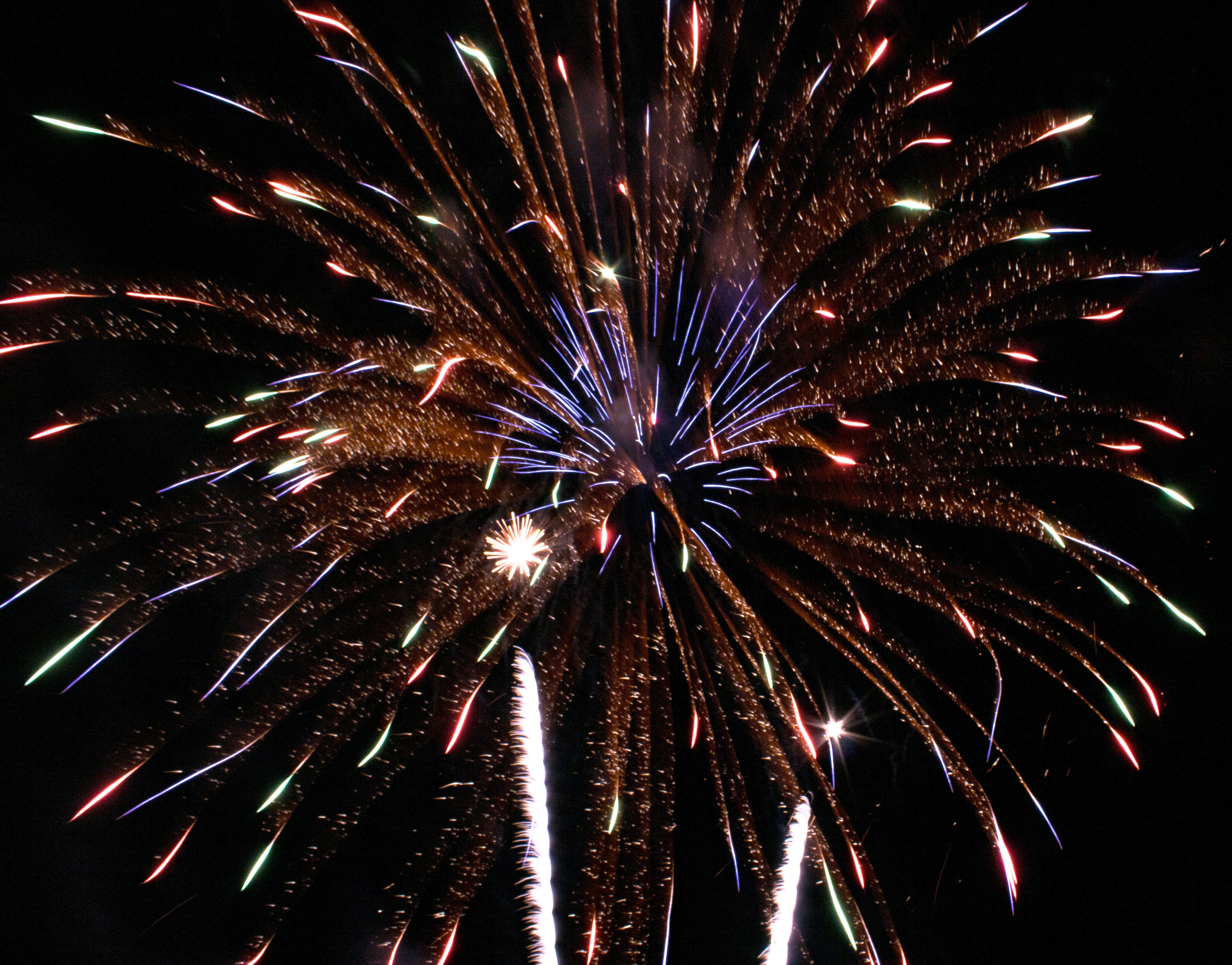 Multi-burst fireworks lighting up the twilight sky over a silhouetted treeline, with warm orange and red colors against deep blue