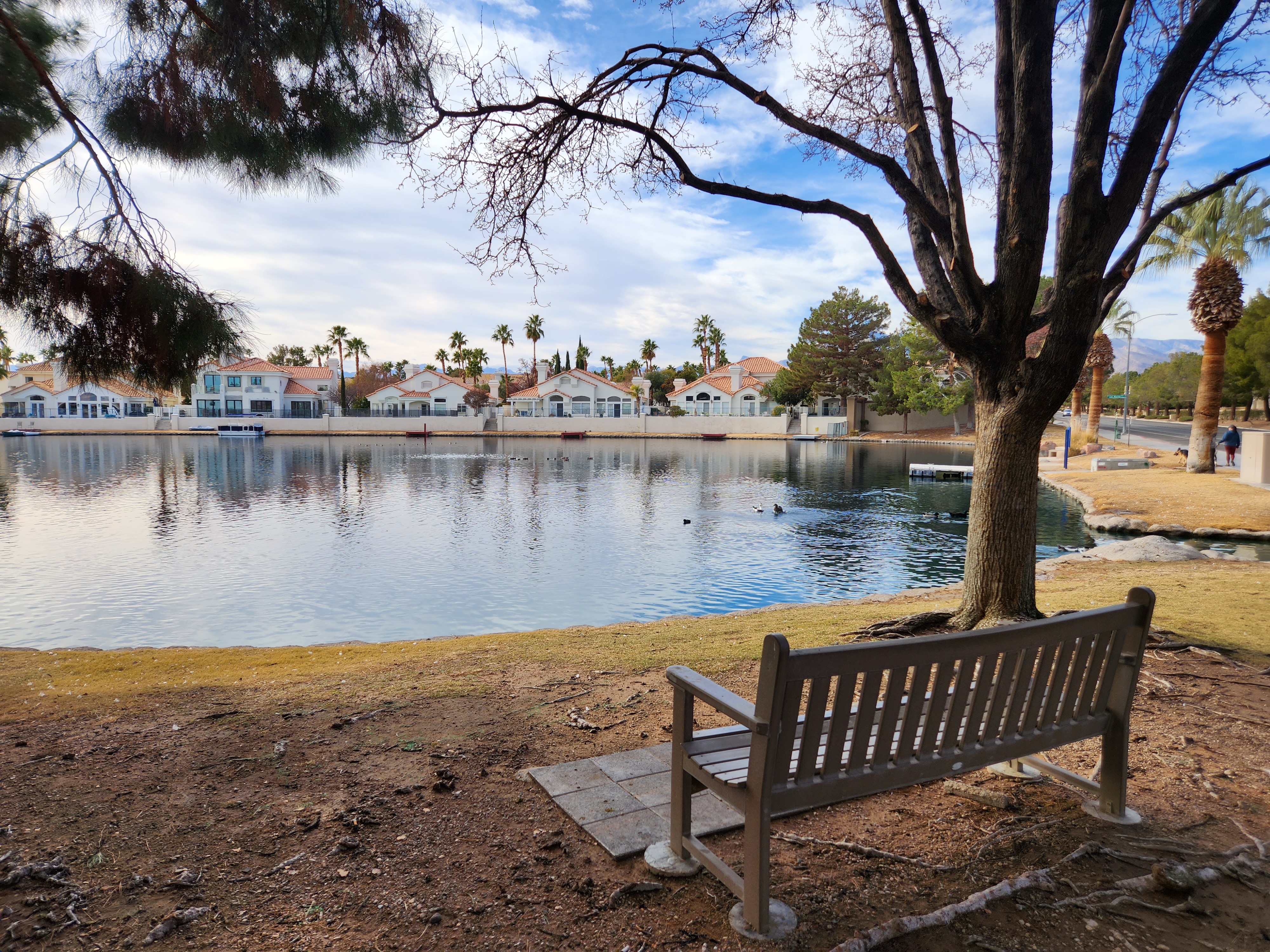 Desert Shores neighborhood street view with well-maintained homes and desert landscaping