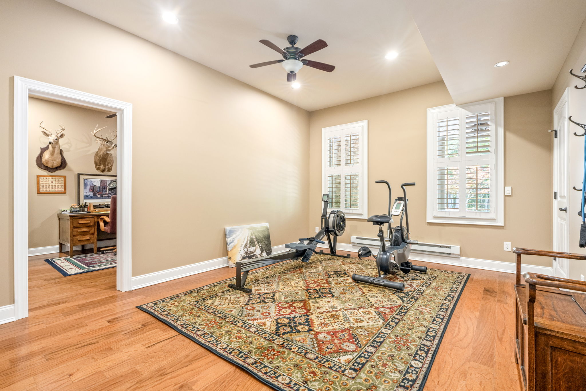 Bonus room, second view