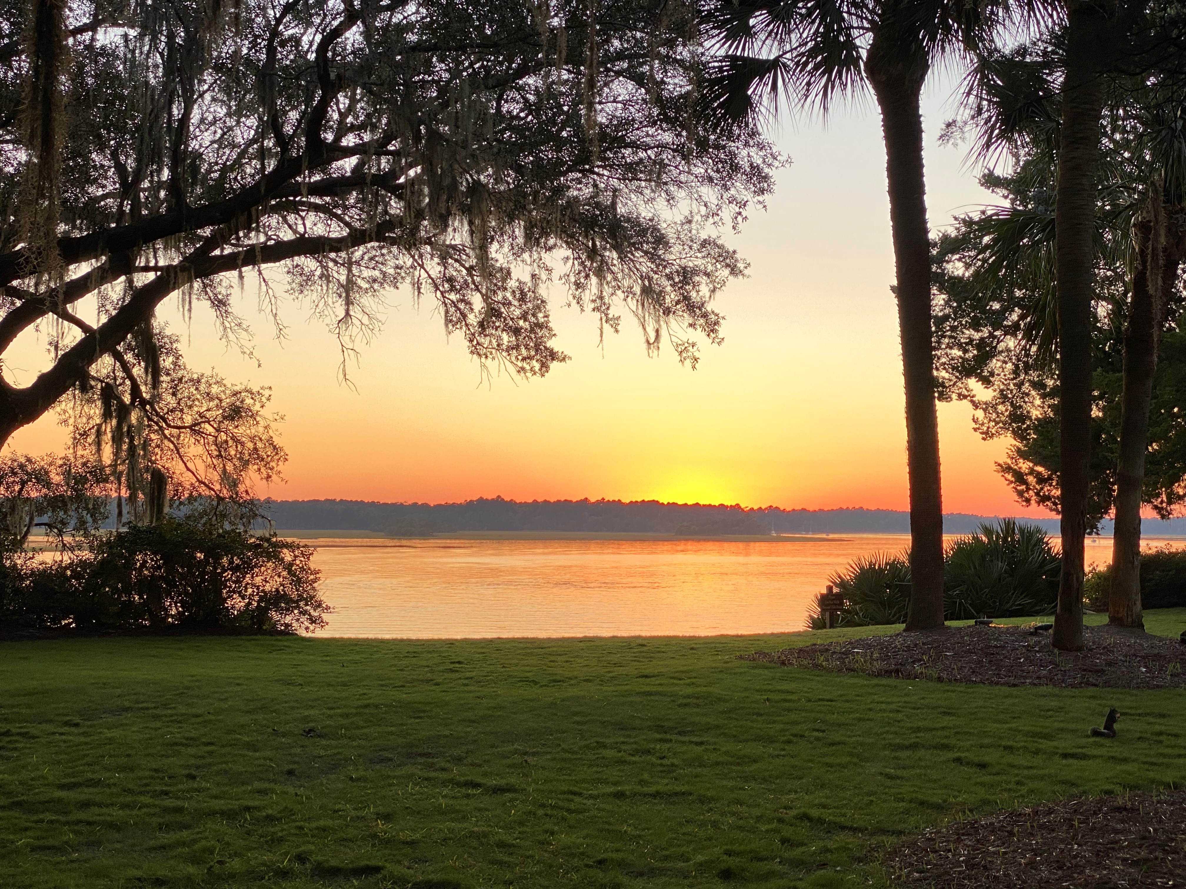 Manicured Lowcountry lawn overlooking calm water at sunset, framed by Spanish moss oaks and palms