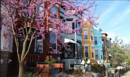 Colorful row houses on a tree-lined street in Trinidad Washington DC
