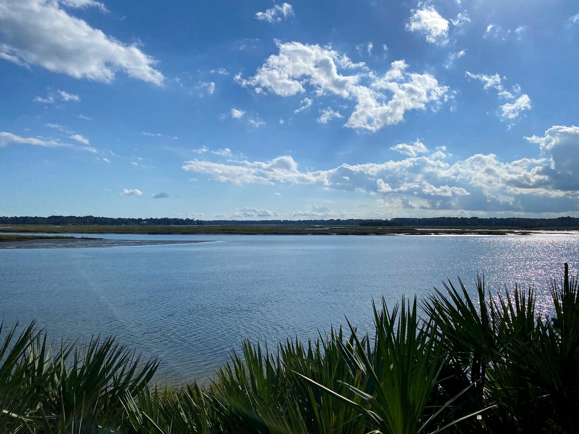 The May River framed by palmettos in Bluffton, SC