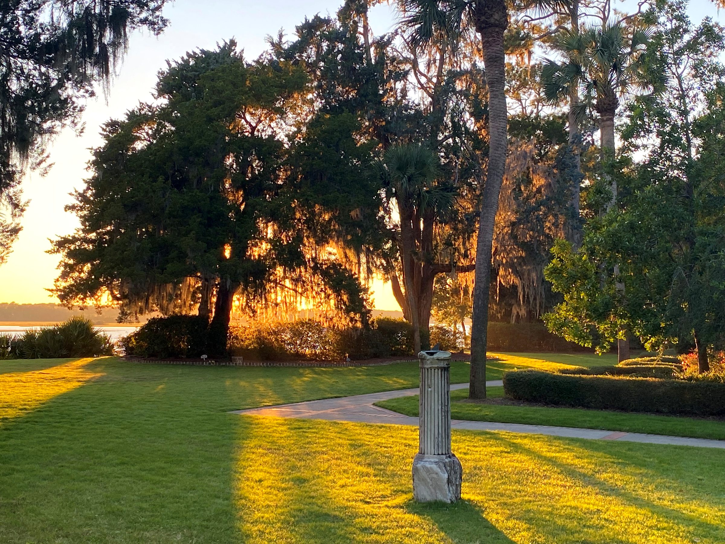 Live oaks and lawn at golden hour in Bluffton