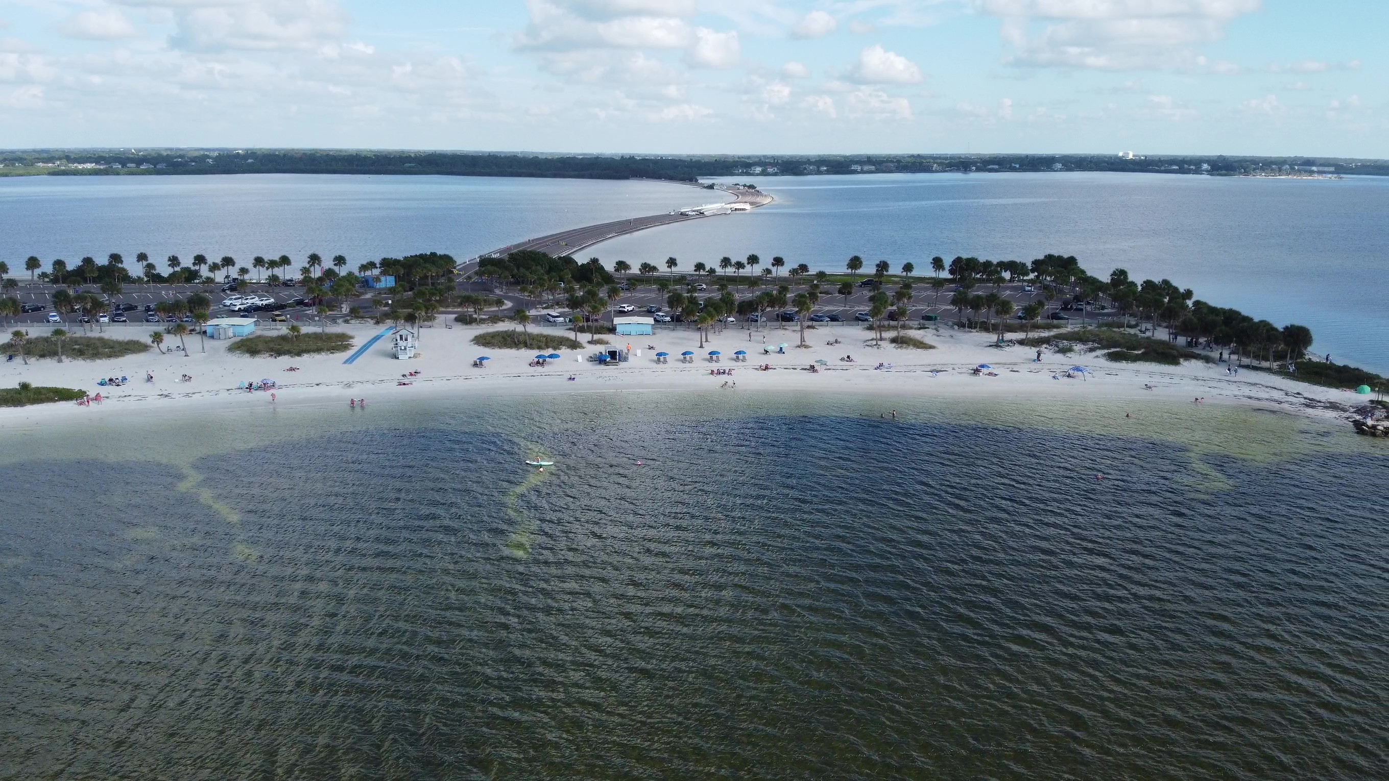 Aerial drone view of Howard Park Beach in Tarpon Springs, Florida, with its white-sand shoreline meeting calm Gulf water