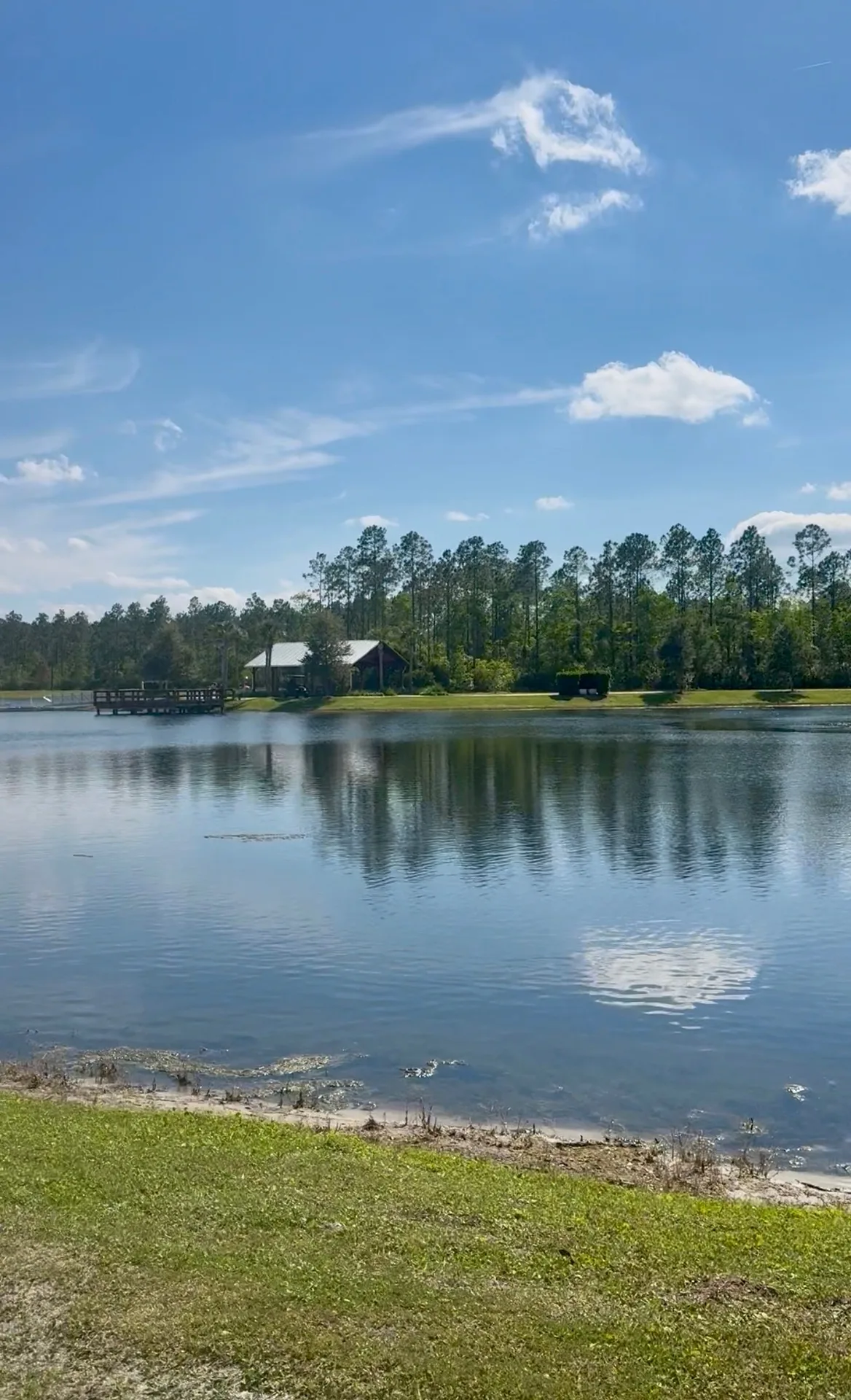 Mollie's real photo from around Nocatee, St. Johns County, Florida (IMG_4369)