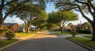 Lamar Park tree-lined street in Corpus Christi