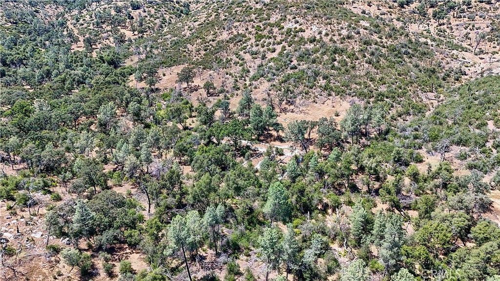 Tree-covered portion of the land with views of the surrounding hills