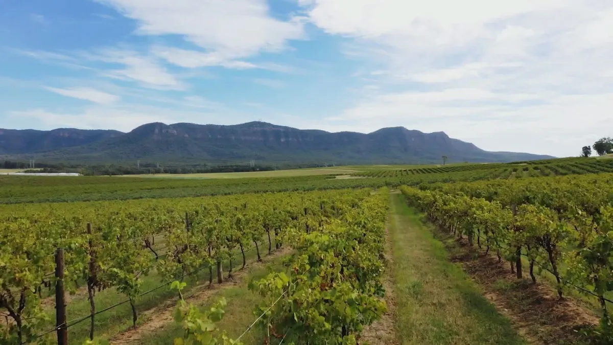 Rogue Valley Named the #1 Wine Region in America. Here's Why That Matters for Homeowners.