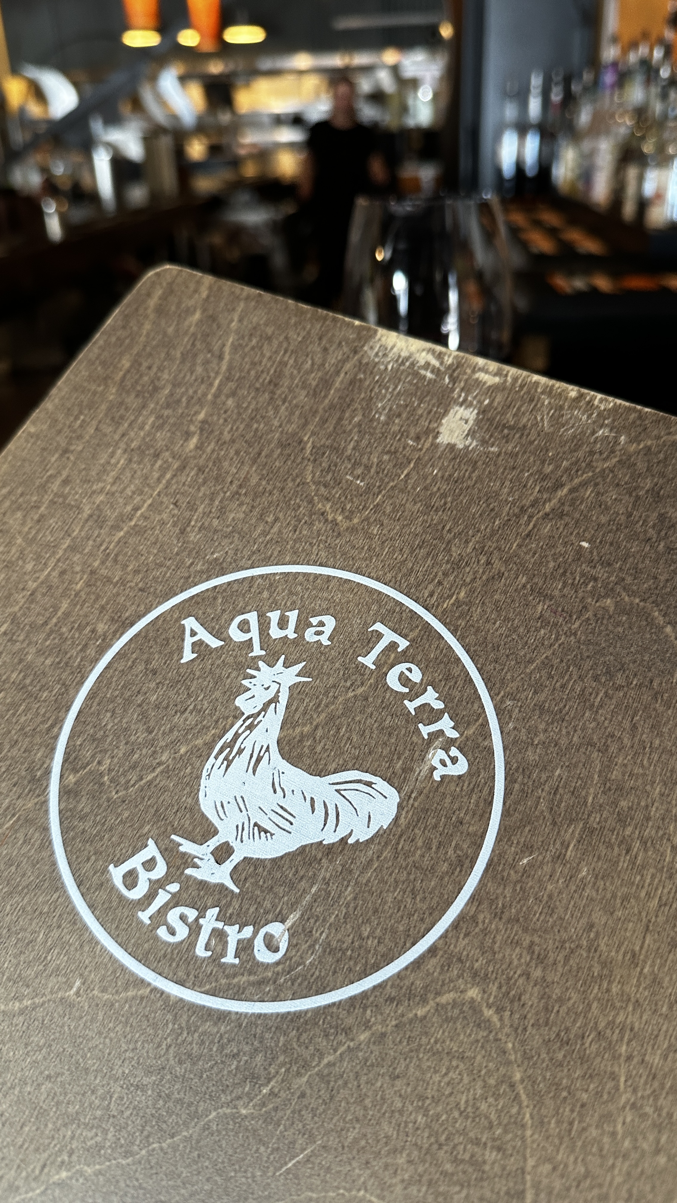 Menu at Aqua Terra Bistro fine dining restaurant in downtown Buford Georgia