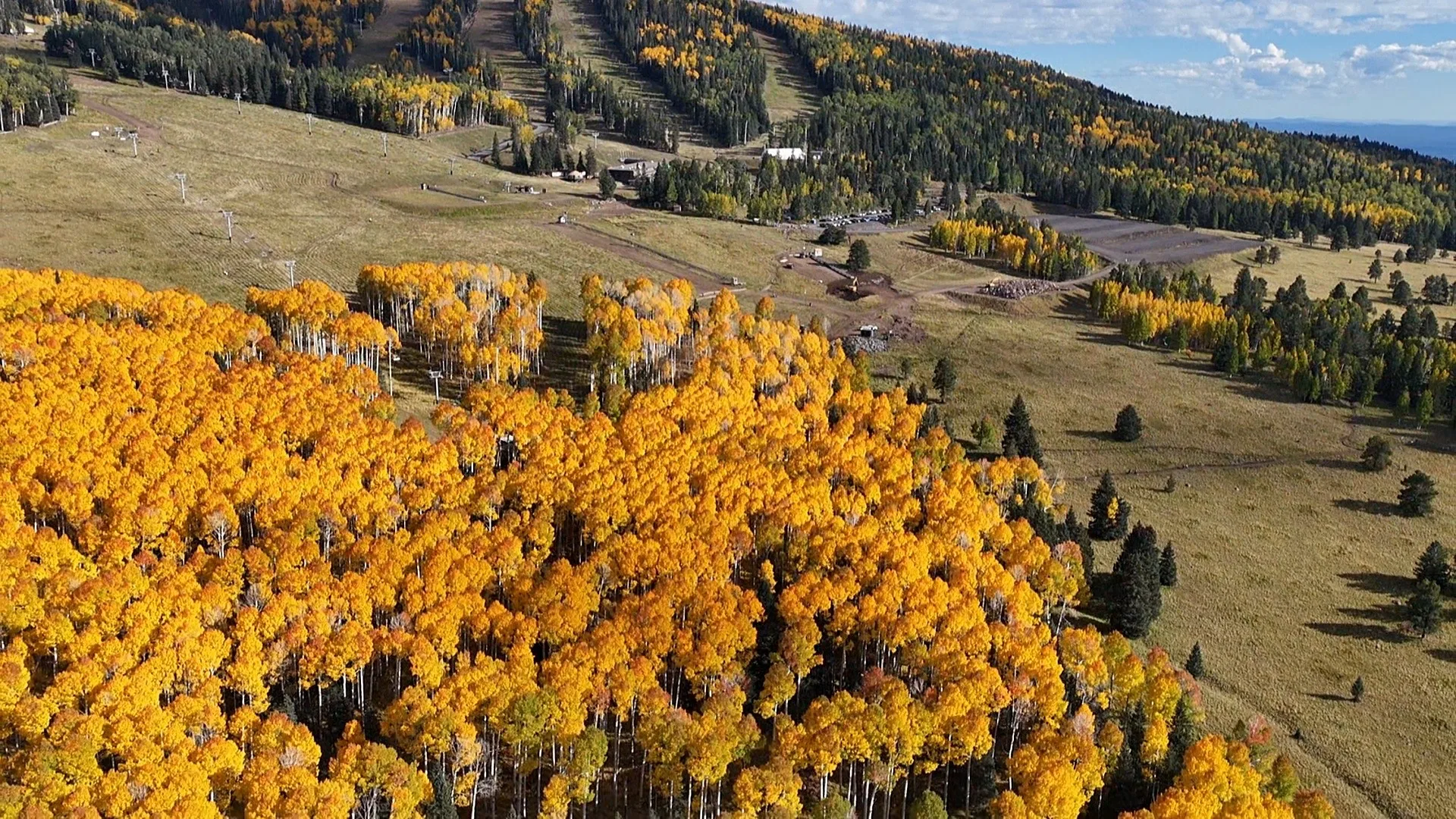 Aerial view of the Flagstaff high country and San Francisco Peaks in autumn