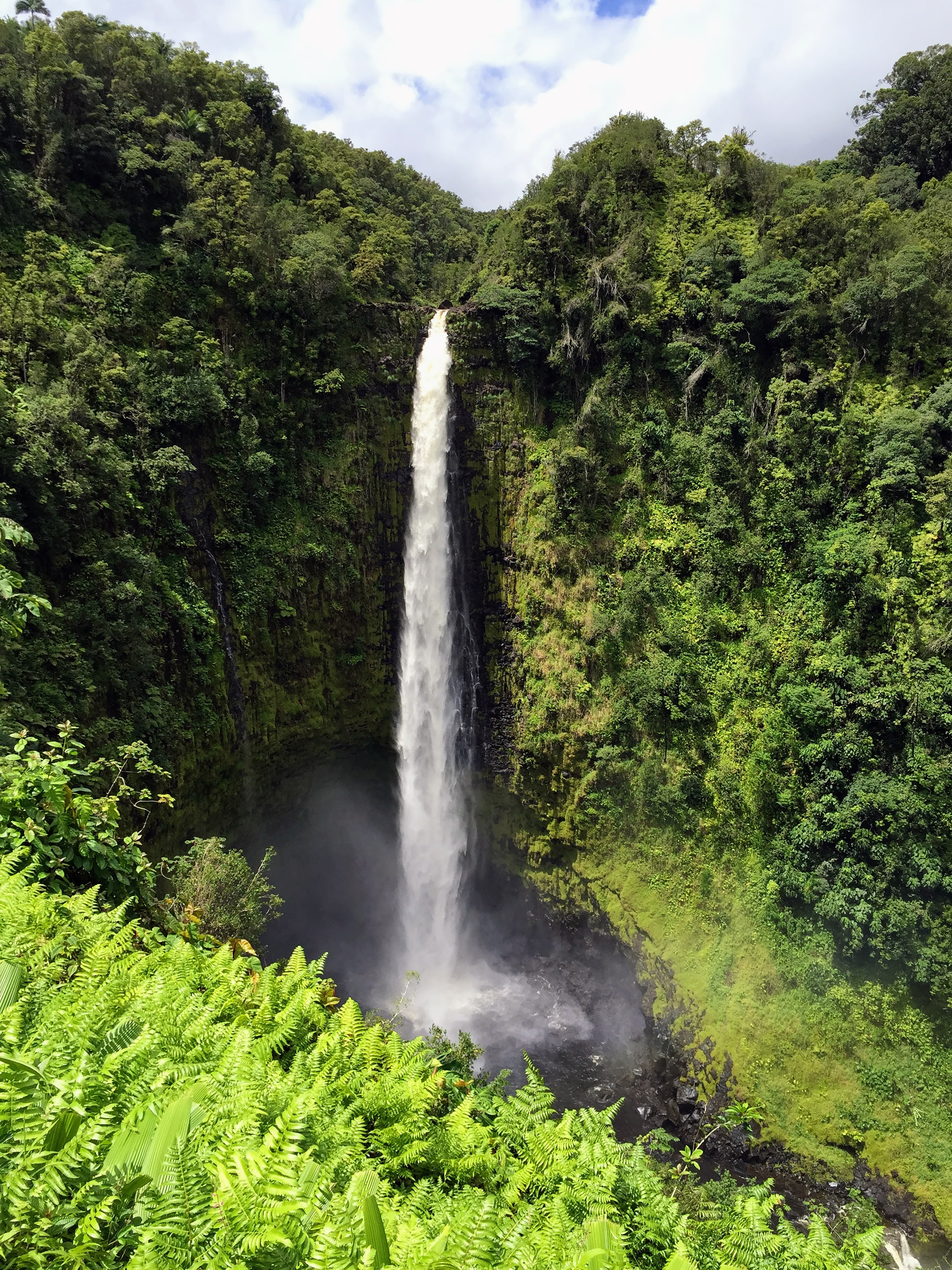 Akaka Falls cascading through the rainforest of the Hāmākua Coast