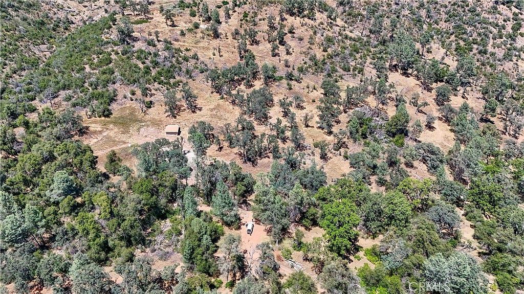 Brush and tree-covered hillside on the 34.3-acre parcel
