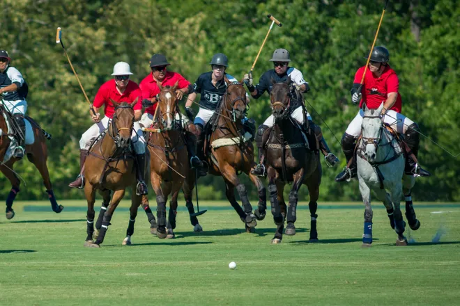 Polo players on horseback during a match on the polo field
