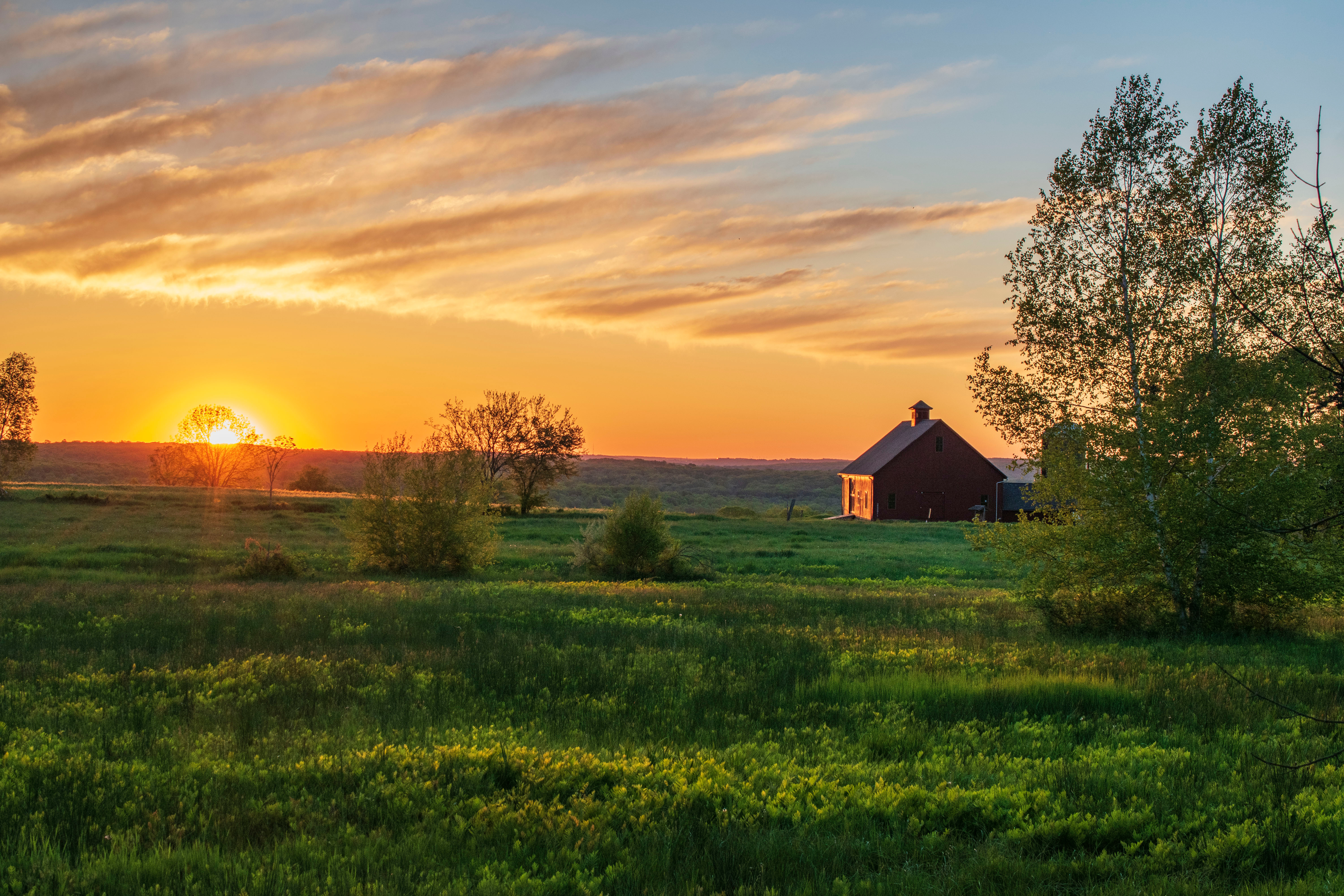 Shiawassee County Living Guide
