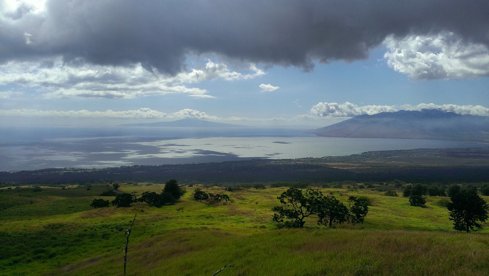 Makawao town with paniolo heritage and eucalyptus-lined roads