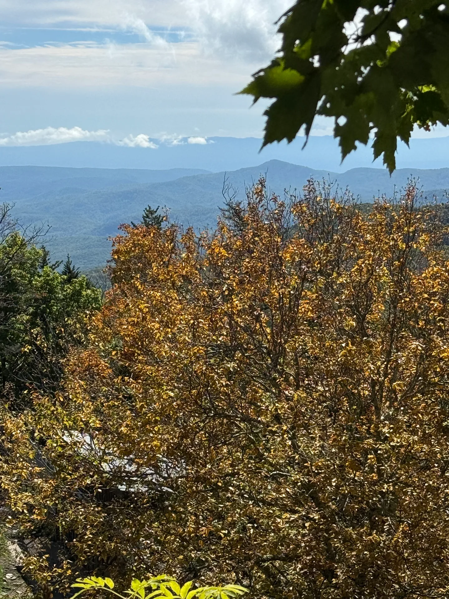 Layered mountain ridges in warm fall color near Grandfather Mountain