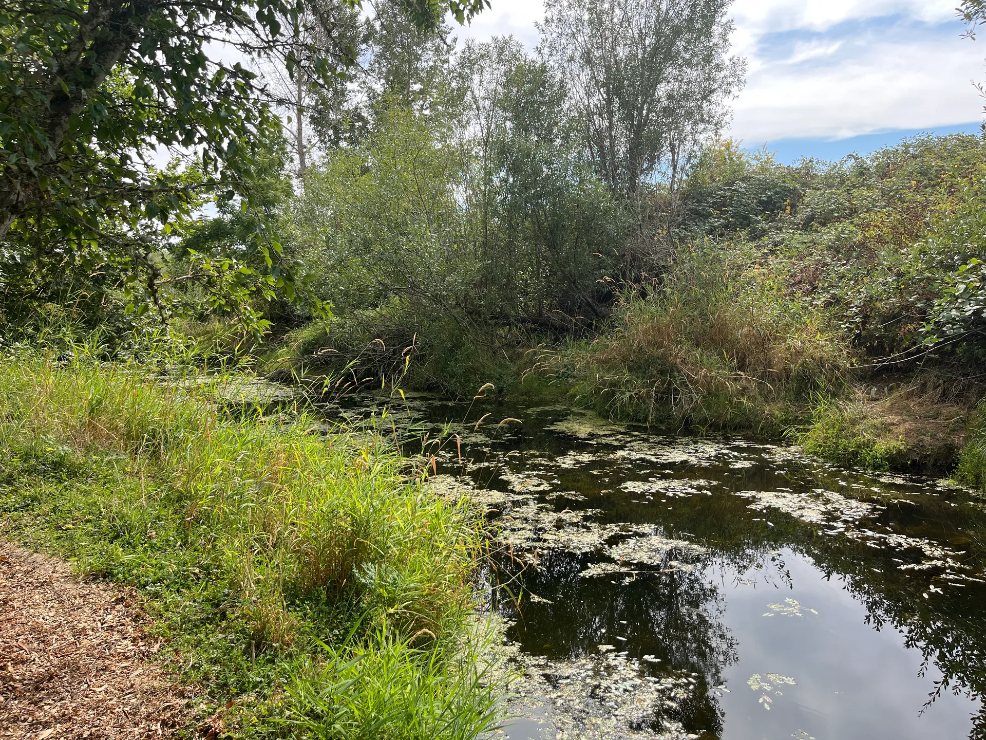 The Riparian Trail at Inspiration Garden in Independence