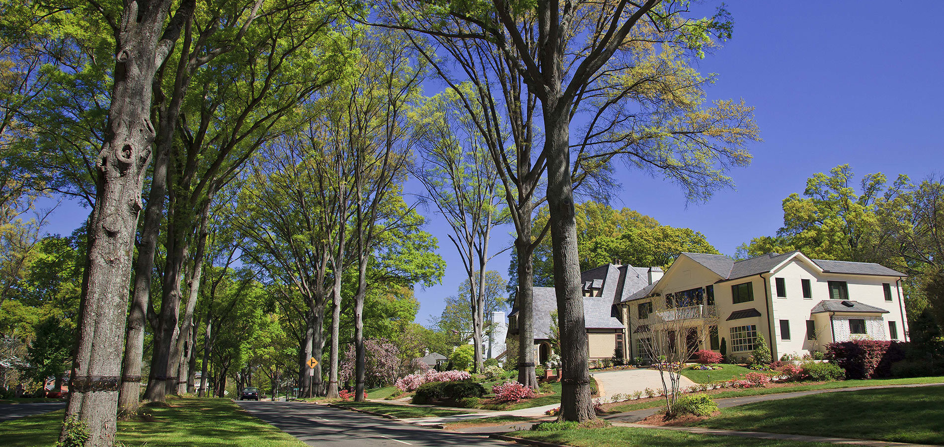 Housing density in Chapel Hill NC