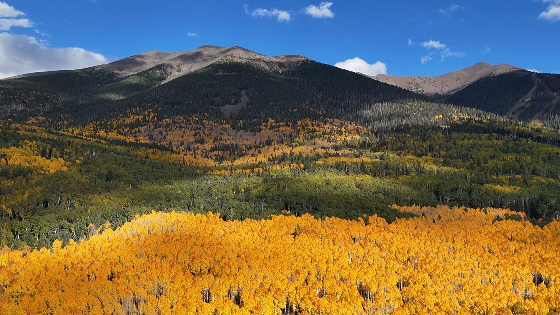 Drone photograph of ponderosa forest and mountains near Flagstaff in autumn