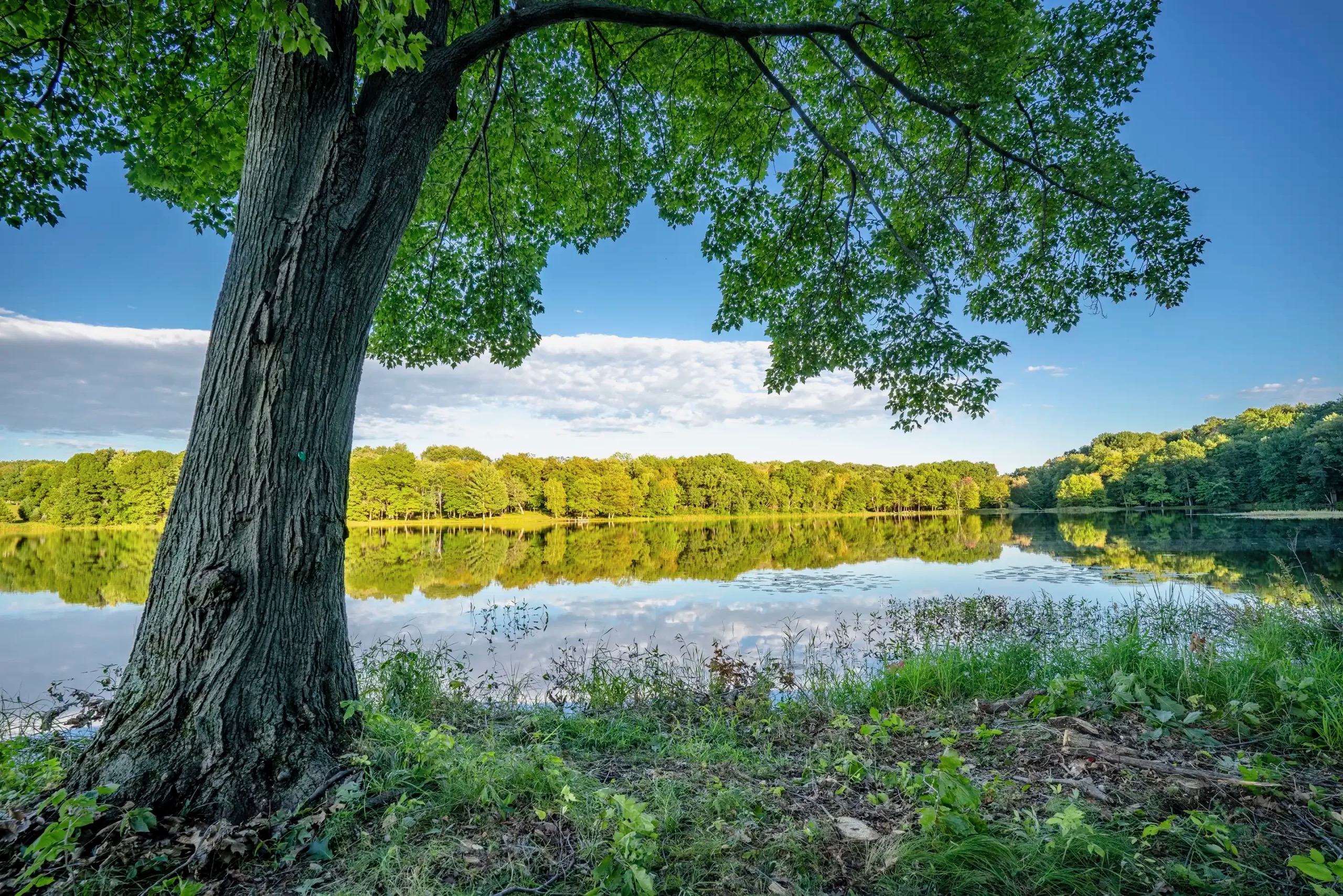 Lakefront Living Guide