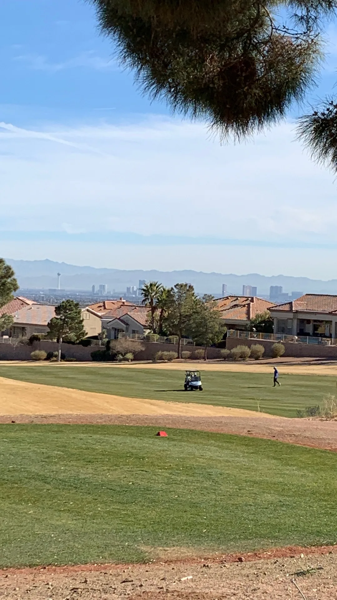 Sun City Summerlin: A Local's Guide to Active 55+ Living