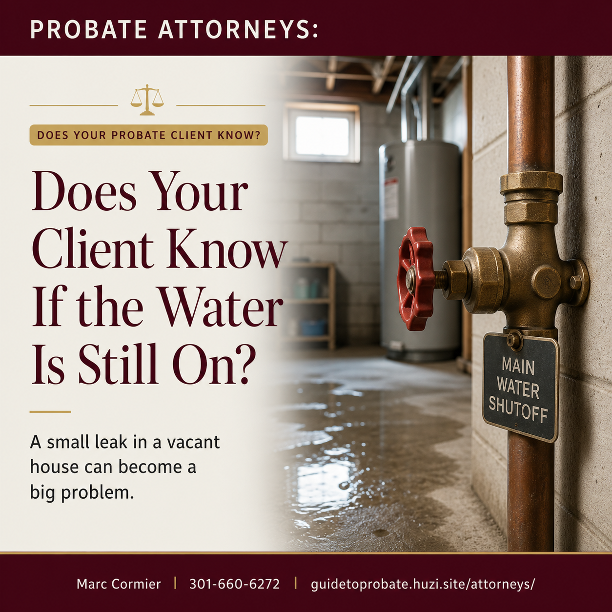 Probate planning resource flyer from Marc for attorneys and their clients, with contact information