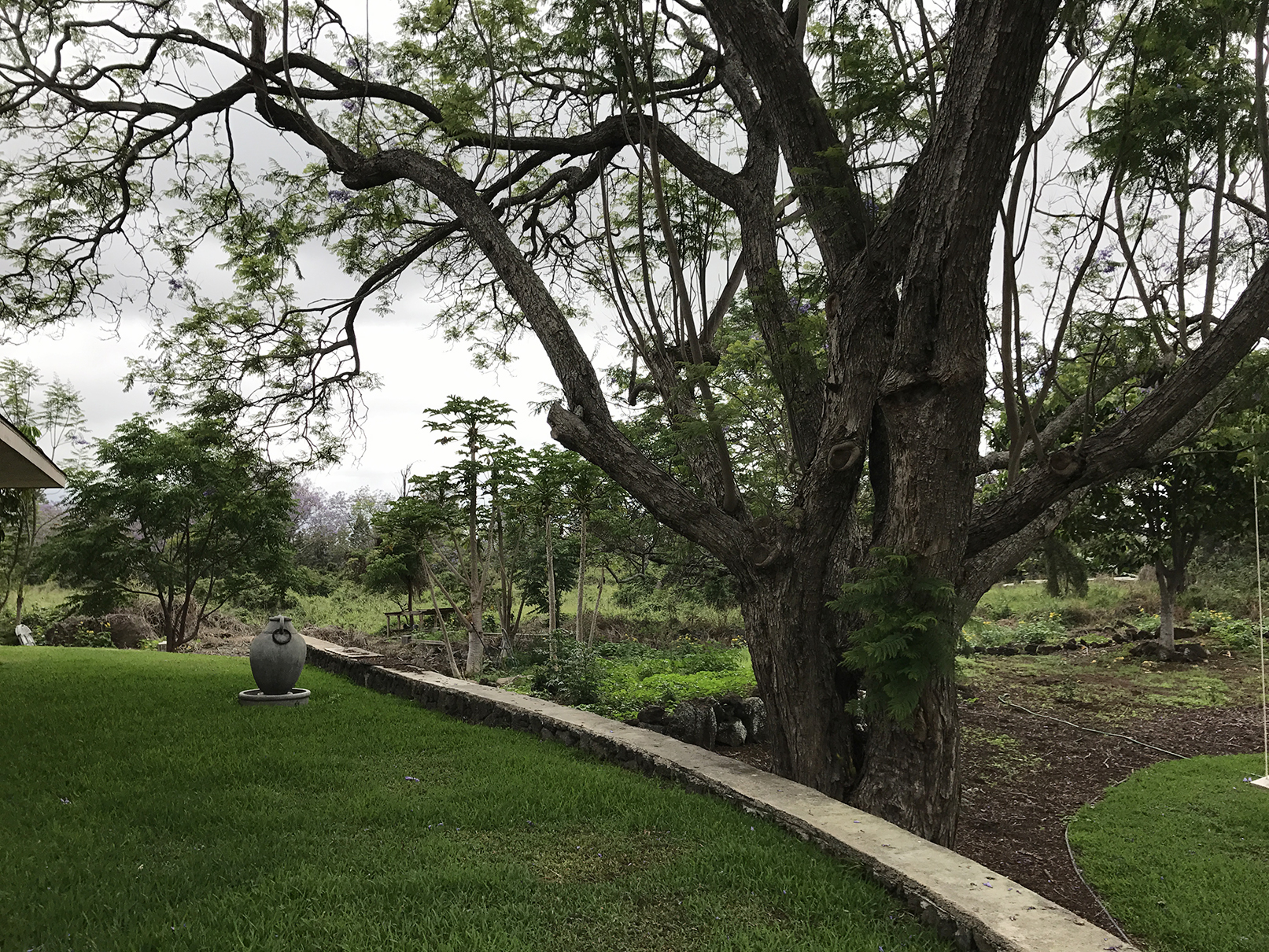 Puʻu Lani Ranch, North Kona