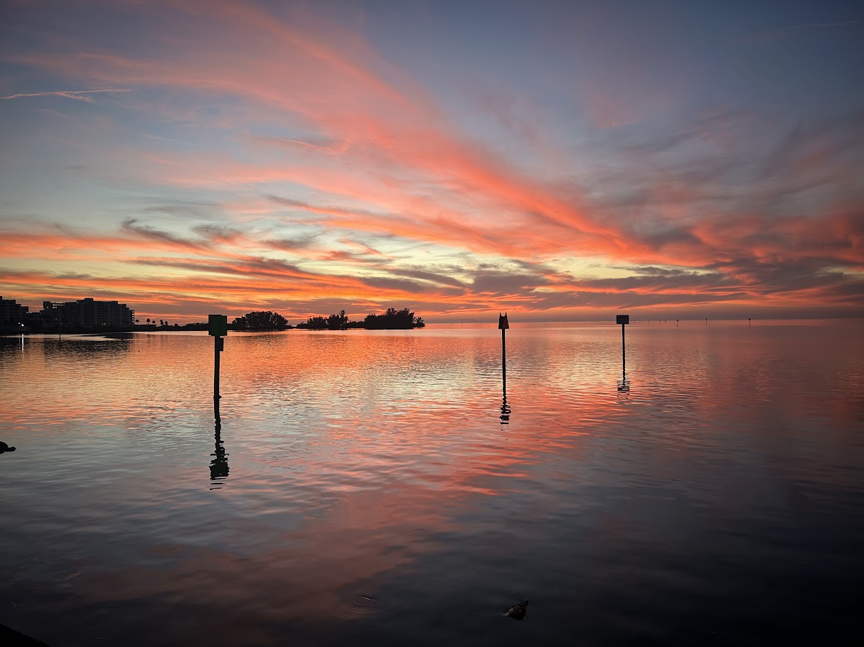 Pasco County Florida Gulf Coast at golden hour with palm trees, dock, and waterfront homes