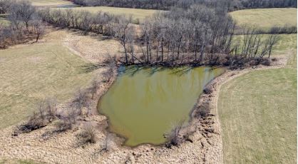 Build-ready homesite on 38 acres in Holt