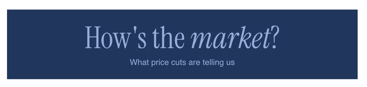 Market title card graphic from The Ann Arbor Edit: what sellers’ prices are doing right now